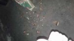 20171119205622.jpg