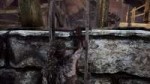 Hellblade  Senuas Sacrifice Screenshot 2018.05.03 - 05.00.0[...].png
