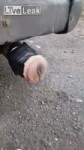 .mp4