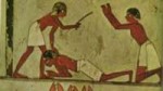 xw1162390.jpg