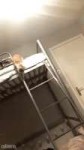 -.gif