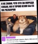 9BD50EAB-DA89-4E80-B2FB-E62A13392D75.jpeg