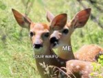 3393.JPG