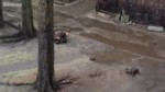14540684336260.webm