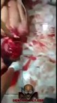 14753437940561.webm