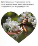 IMG-20180509-WA0000.jpg