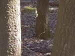 20180509100915.jpg