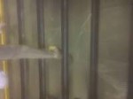E88B14EB-C66F-4AE1-A9B8-A1C6D79505AB.jpeg