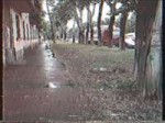 VHS2018060717003300.JPG