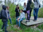 IMG20180602194904HDR.jpg