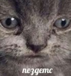 15266484117630.jpg