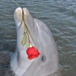 IMG20180531000538014.jpg