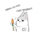 Безымянный.png