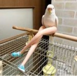 ZOiSJVgWOoo.jpg