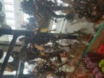 20180526111345.jpg