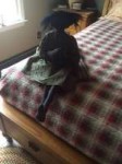 2018-06-09-09-00-33.jpg