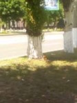 IMG20180612114708.jpg