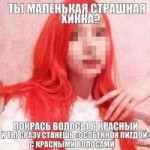.jpg