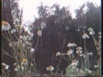 VHS2018080619512700.JPG