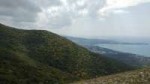IMG20180825114201.jpg
