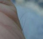 Screenshot7.png