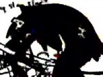 15302878585040.webm