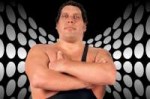 andre2.jpg