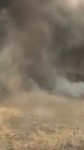 sneezed.webm