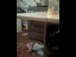  .webm