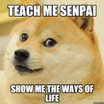 Senpai.png