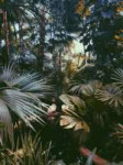 2018-06-02 02.56.05 1.jpg