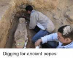 bs-digging-for-ancient-pepes-2748873.png