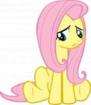 fluttershydiscussingdragonsbyfabulouspony-d41mylc.png