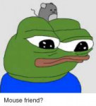 mouse-friend-36301409.png