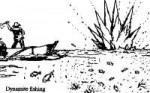 drawn-fishing-coral-fish-1.gif