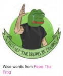 Facebook-Wise-words-from-Pepe-The-Frog-1c9a31.png