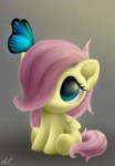 fluttershy.jpg