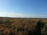 20120916173139.jpg