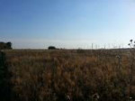 20120916173152.jpg