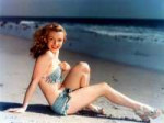 MarilynMonroepostcard.JPG