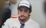 fernando-alonso-estaba-frustrado-por-sucedido-clasificacion[...].jpg