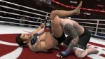 ea-sports-mma-11156.jpg