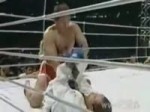 videoplayback (24).mp4