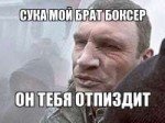 брат боксер.jpg