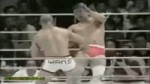 13931.webm