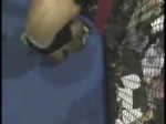 sub.webm