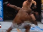 gorilla.mp4