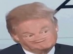 1514575002408.webm
