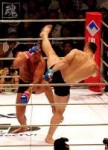 fedor-crocop-5.jpg