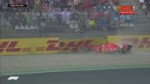 vet.webm